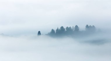 Sisli vadinin minimalist silueti - sanatsal sisli panoramik manzara, sisli ağaçlar ve tepeler, aydınlık ve karanlık. Toskana, İtalya
