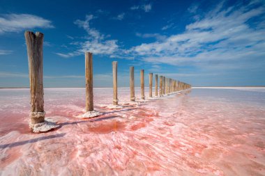 Doğanın mucizesi! Tuz gölünün gerçek pembe rengi ve derin mavi gökyüzü, minimalist doğal manzara, Ukrayna seyahat arkaplanı