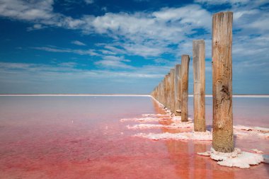 Doğanın mucizesi - Tuz gölünün gerçek pembe rengi ve derin mavi gökyüzü, minimalist doğal manzara, Ukrayna seyahat arkaplanı