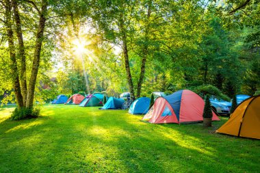 Kamp alanı, sabahın erken saatlerinde. Mutlu ol! Büyük ağaçları ve yeşil otları olan doğal alan.