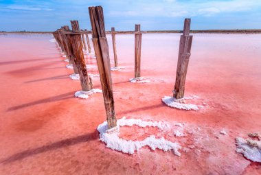 Pembe tuz gölünün kavramsal manzarası. Tahta yığınları kırmızı sudan fırlıyor. Pembe tuzlu su gökyüzüne akar. Ukrayna, seyahat geçmişi, minimalist manzara