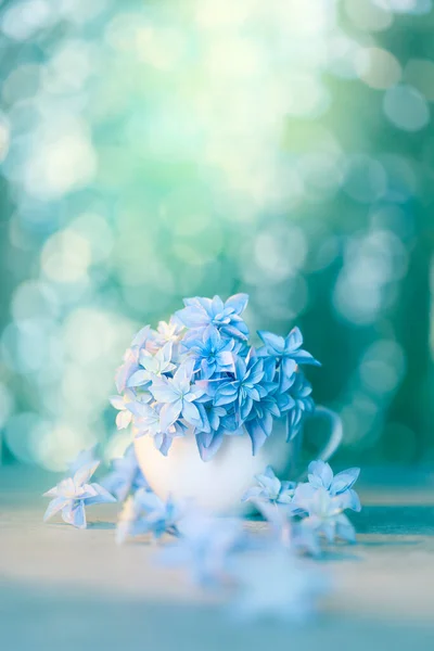 青い花と繊細なボケを持つ素晴らしい花の芸術的背景 概念ロマンチックな壁紙のデザイン お祝いのための薄緑色の花スーパーマクロ — ストック写真