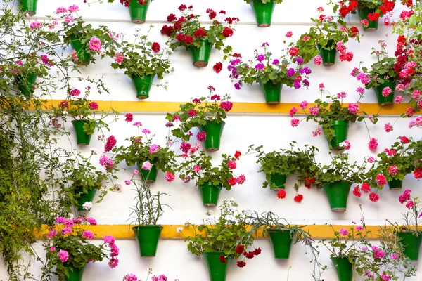 Blumenschmuck an der Mauer - alte europäische Stadt, Cordoba, Kurort — Stockfoto