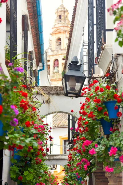 Híres utcai virágokkal díszített, cordoba, Spanyolország, mediterrán Unió — Stock Fotó