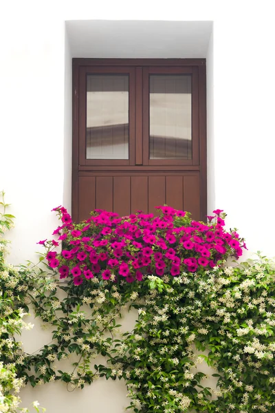 典型的なウィンドウ装飾ピンクと白の花、コルドバ、スペイン — ストック写真