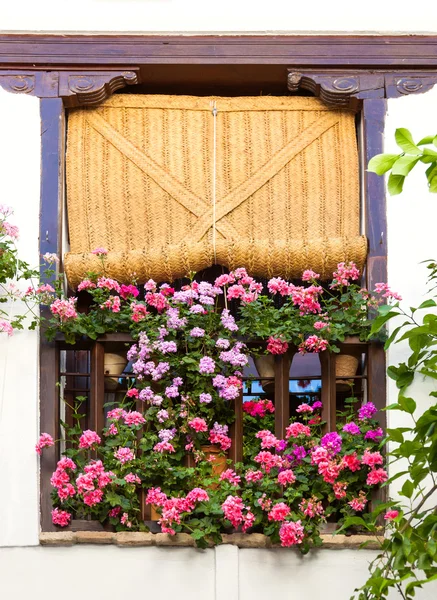 Středomořské okno zdobené růžové a červené květy — Stock fotografie