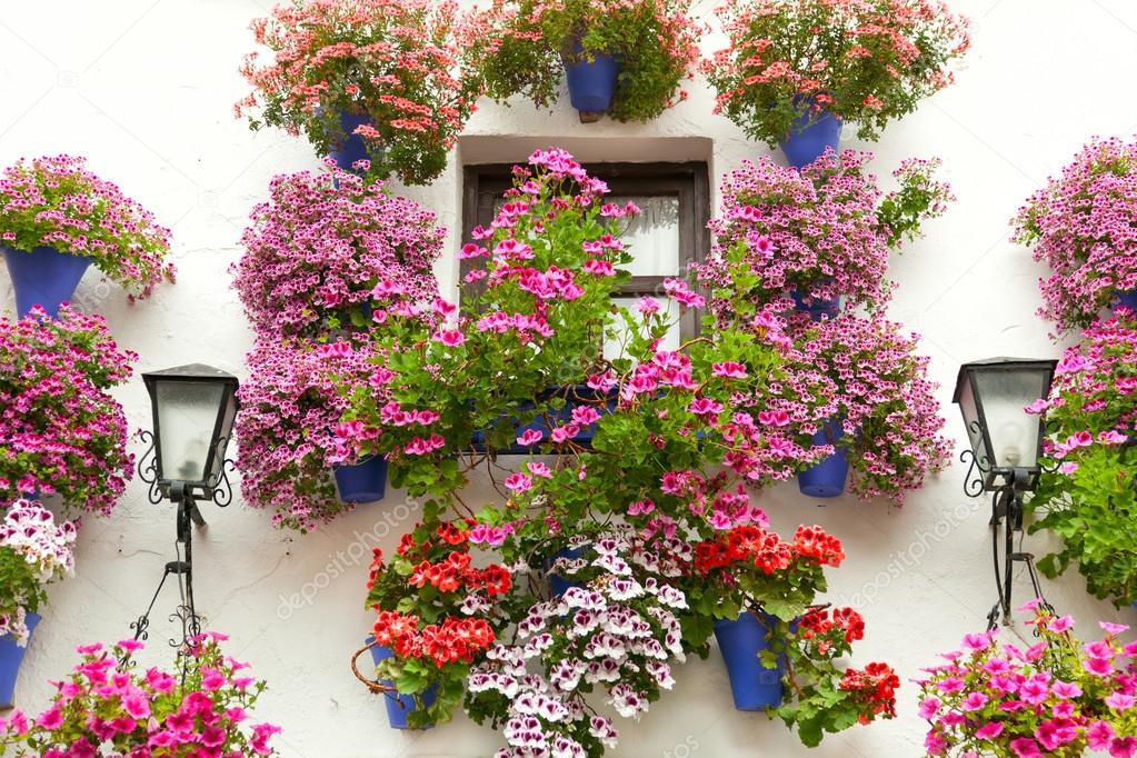 Typical Window decorated Pink and Red Flowers,  Spain, Mediterra