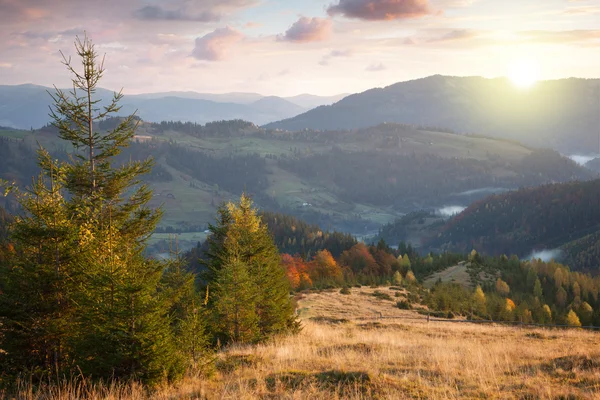 Hermoso otoño en las montañas al atardecer. Árboles, picos, clo — Foto de Stock