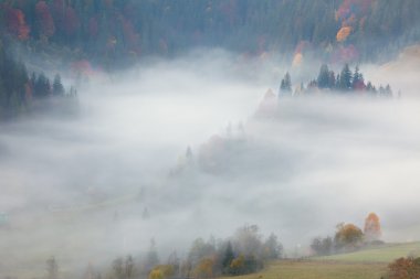 Misty sis dağlarda - güzel sonbahar orman görünümü