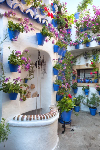 Blommor dekoration av Vintage innergård — Stockfoto