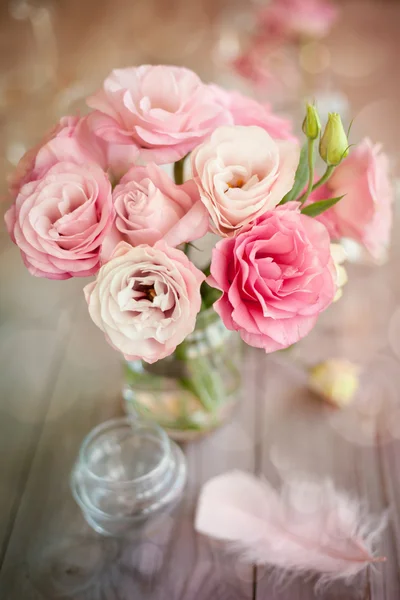 Bright background with roses and feather — Stock Photo, Image