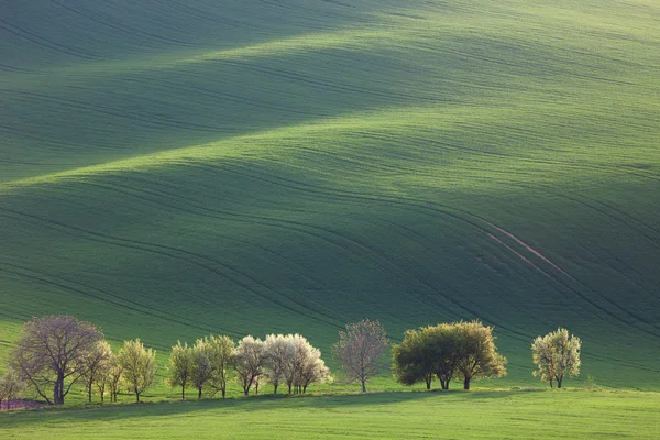 Minimalisme fantastische landschap voor seizoensgebonden achtergrond of wallpape — Stockfoto