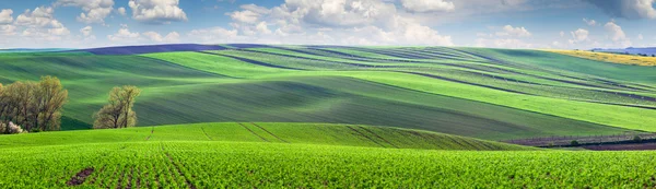 Vista panorâmica maravilhosa de campos em belo vale colorido — Fotografia de Stock