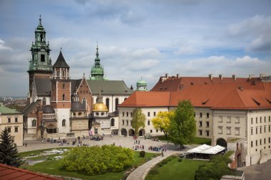 Krakow Wawel kale Manzaralı