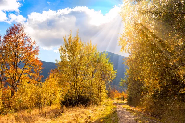 Landschaft Herbstlandschaft mit Sonnenlicht und Sonnenstrahlen — Stockfoto