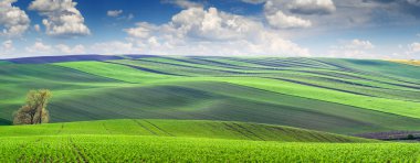 Renkli ve şeritli hills, durağındayım harika panoramik manzarasını