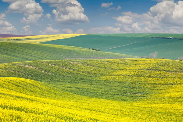 Landschap van de heuvels van het kleurrijke, lente mooie dag — Stockfoto