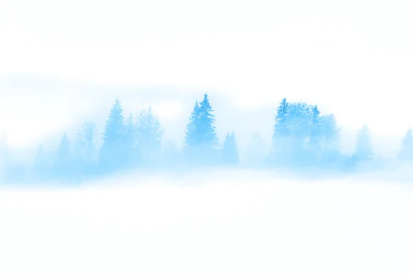 Paesaggio astratto invernale - alberi selvatici nella nebbia nebbiosa — Foto Stock