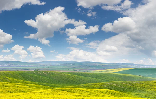 Paisagem de amarelo - campos verdes nas colinas, céu azul com — Fotografia de Stock