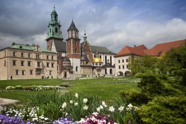 Krakow Wawel yarda görünümü
