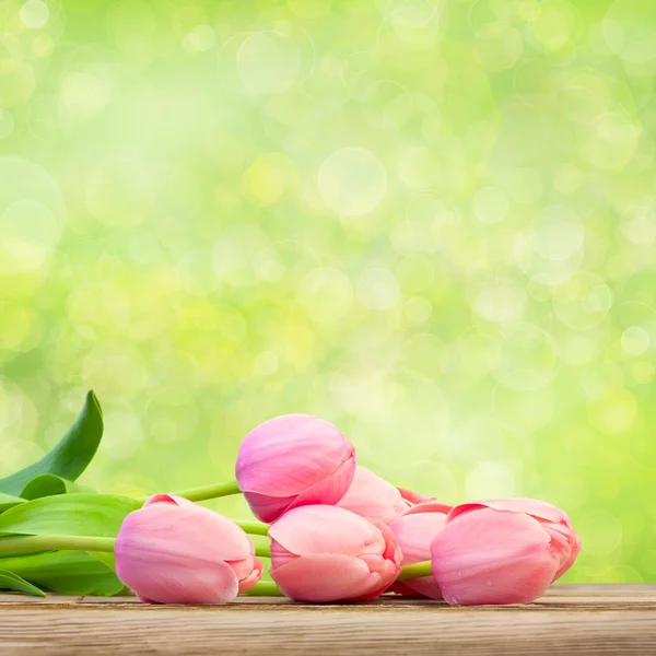 Ramo de hermosos tulipanes rosados sobre fondo verde — Foto de Stock