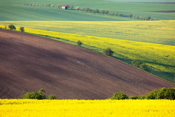Idyllische kleurrijke velden landschap - platteland heuvels — Stockfoto