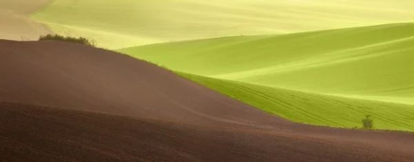 Câmpuri verzi frumoase la țară peisaj la răsăritul soarelui — Fotografie, imagine de stoc