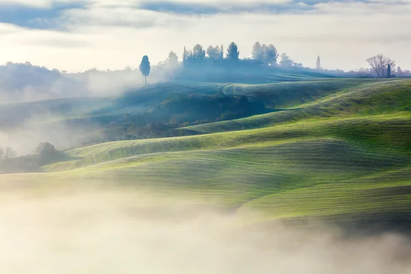 Mágicamente brumoso Valle en el paisaje de la mañana — Foto de Stock