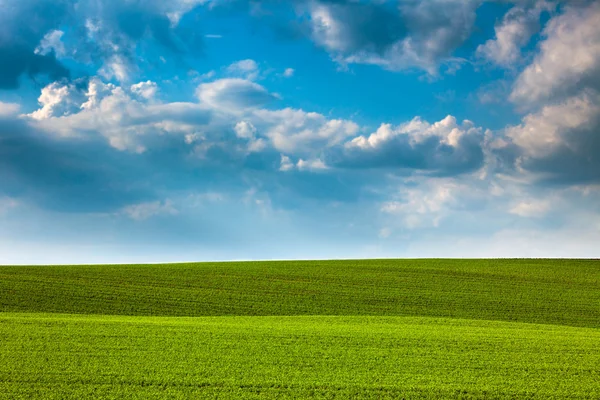 Champs verts abstraits et fond bleu ciel — Photo