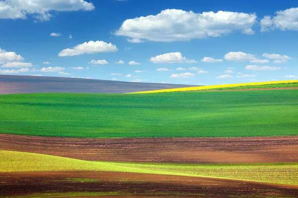 Hintergrund von erstaunlichen abstrakten bunten Feldern — Stockfoto