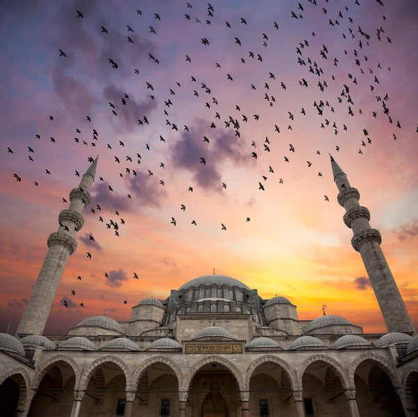 蓝色清真寺，美丽的天空，与鸟魔法日出 — 图库照片