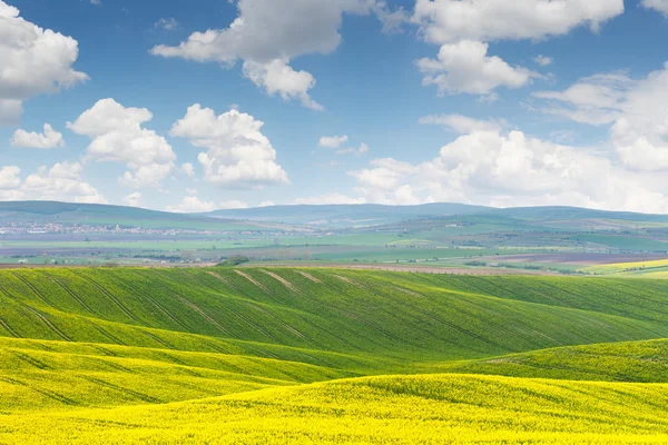 Beautiful sunny day, colorful landscape