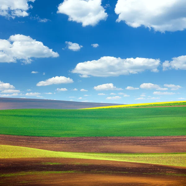 Amazing Abstract Colorful Fields and Sky Background — Stock Photo, Image