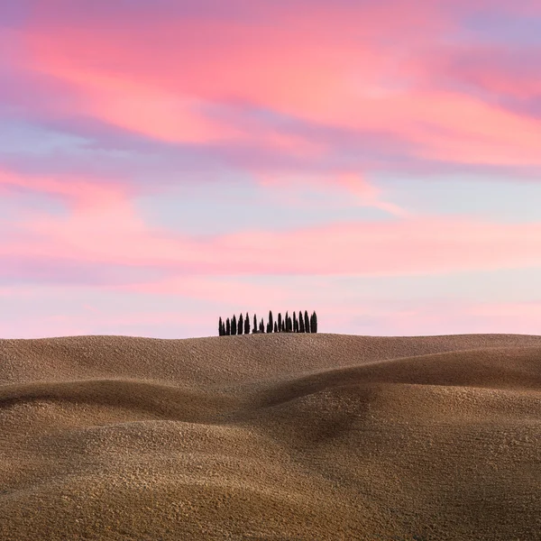 Bela paisagem da Toscana com colinas e ciprestes ao pôr do sol — Fotografia de Stock