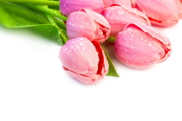 Wunderschöne Tulpenblumen mit Wassertropfen - Feiertagsgrenze auf der — Stockfoto