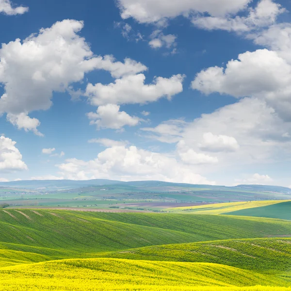 Spring fresh landscape of colorful fields and beautiful hills wi — Stock Photo, Image