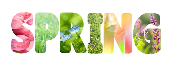 Word Spring with colorful nature photos inside the letters — Stock Photo, Image