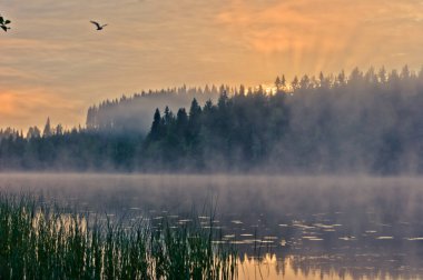 Finlandiya 'da gölde yaz gündoğumu