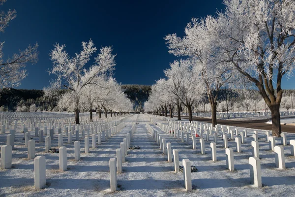 Cemitério Nacional de Black Hills Fotos De Bancos De Imagens