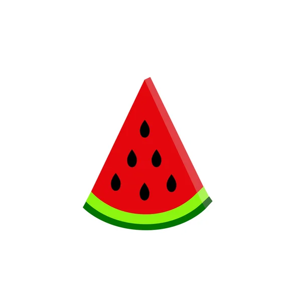 Water-melon  on white background. vector. flat — Stock Vector