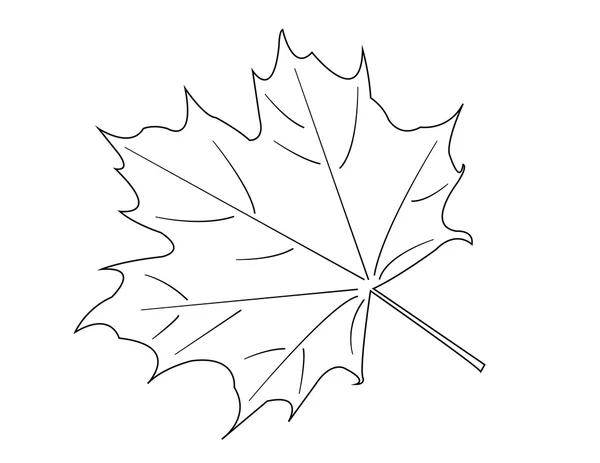 Maple Leaf. Vector — Stockvector