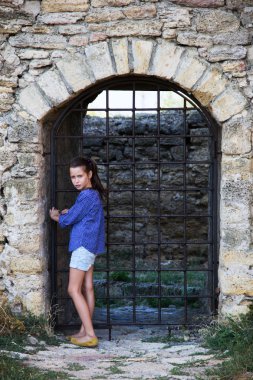 aslan metal kapısı