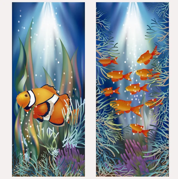 Underwater banners with clownfish, vector illustration — Stock Vector