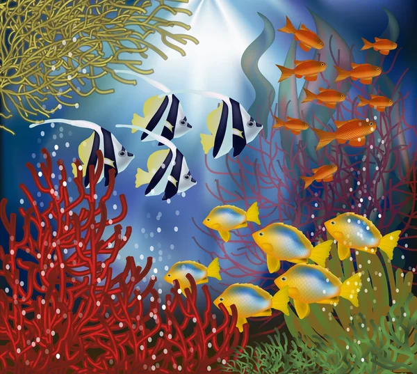 Onderwater behang met tropische vissen, vectorillustratie — Stockvector