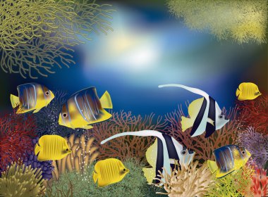 Tropikal balık, vektör çizim ile sualtı duvar kağıdı