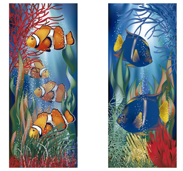 Underwater banners tropical fish, vector illustration — Stock Vector