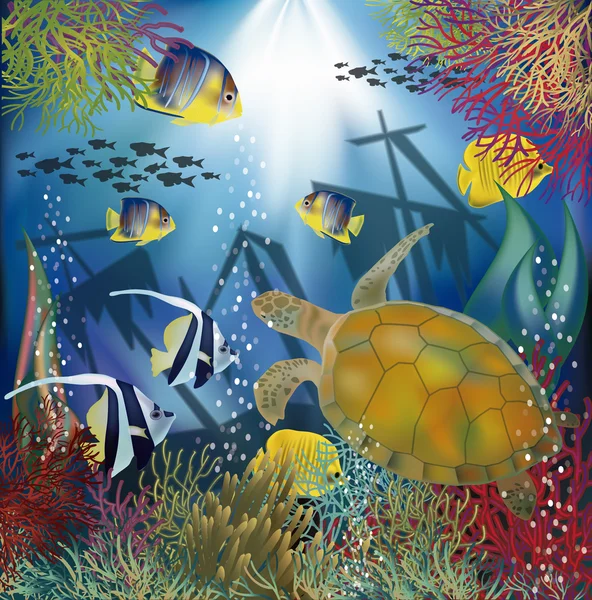 Underwater tapet med havssköldpadda, vektor illustration — Stock vektor