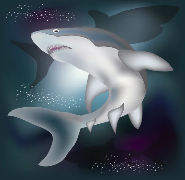 Unterwasserkarte mit Hai, Vektorabbildung — Stockvektor