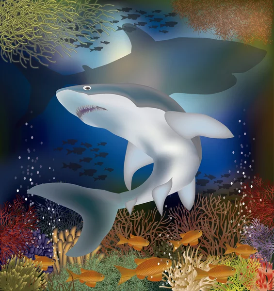Underwater background with shark, vector illustration — Stock Vector