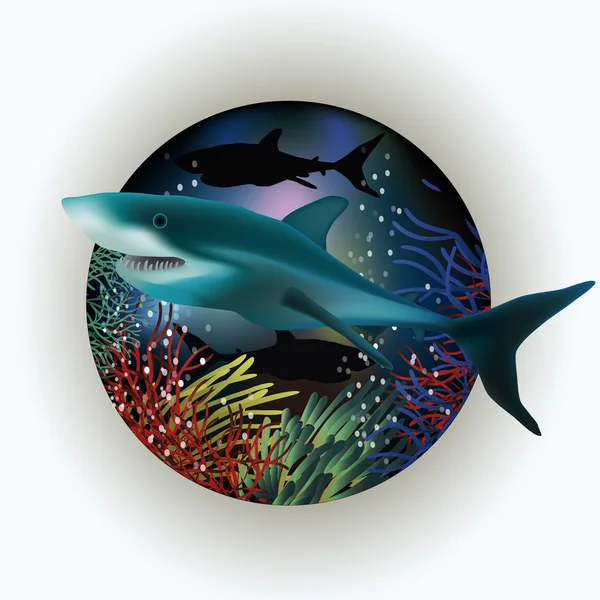 Onderwater ansichtkaart met haaien, vectorillustratie — Stockvector